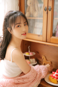 Lady宝石宠物